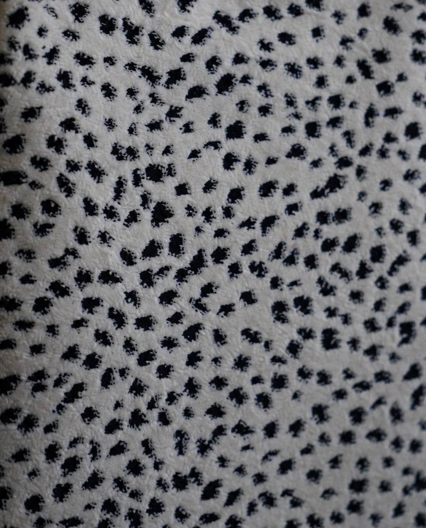 Carlotta Dalmatian